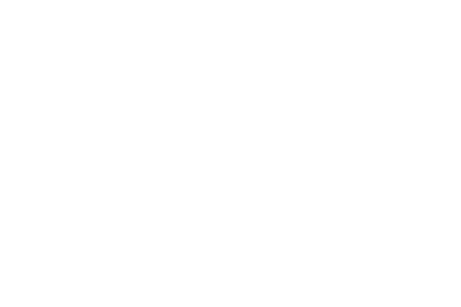 Schneider Garage logo